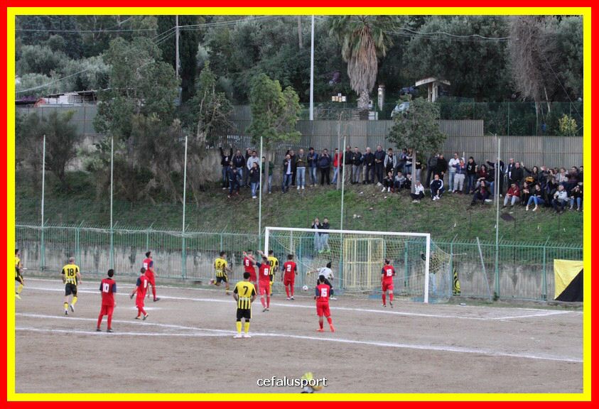 181111 Cepha_Milazzo 308_tn.JPG